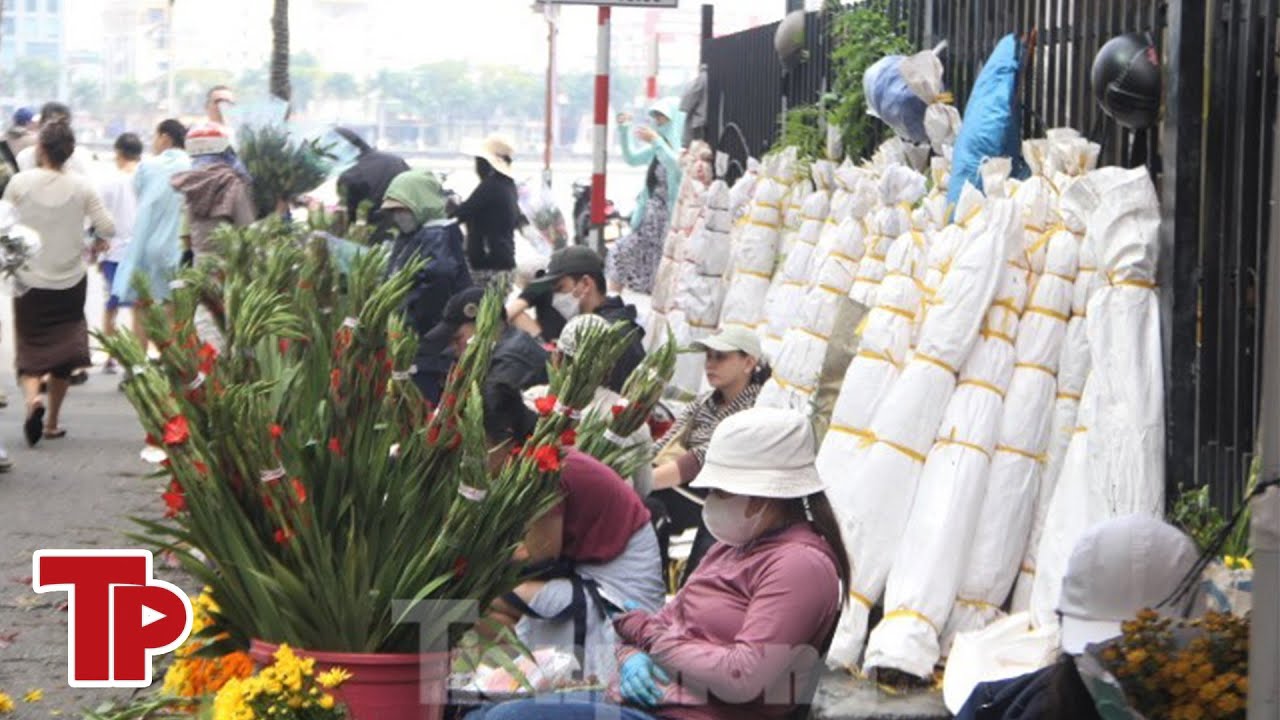 Người dân Đà Nẵng giải cứu hàng ngàn bó hoa lay ơn | Tiền Phong TV