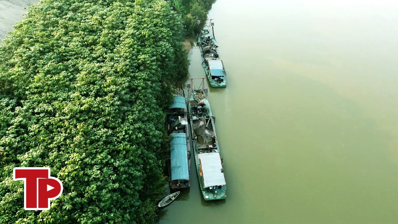 Rầm rộ hút cát lên bãi tập kết dù chưa có phép hoạt động bến thủy nội địa | Tiền Phong TV