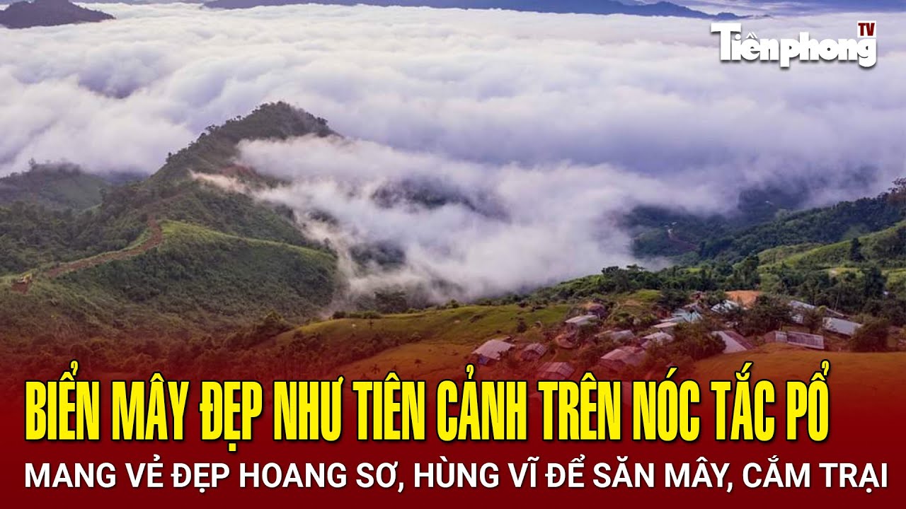 Biển mây đẹp như tiên cảnh trên nóc Tắc Pổ - Quảng Nam | Tiền Phong TV