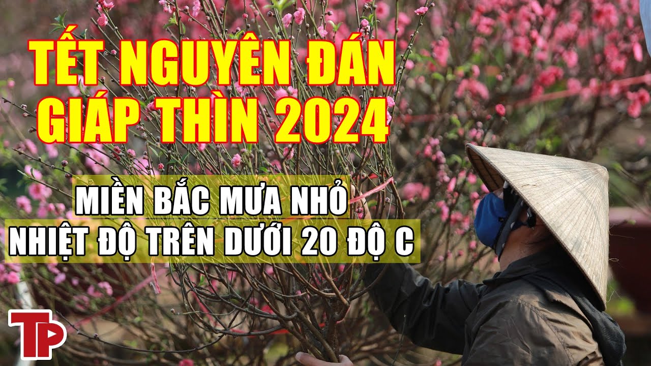 Kiểu thời tiết “độc nhất vô nhị” chỉ tết Thìn mới có, trải qua 6 thập kỷ đến nay | Tiền Phong TV