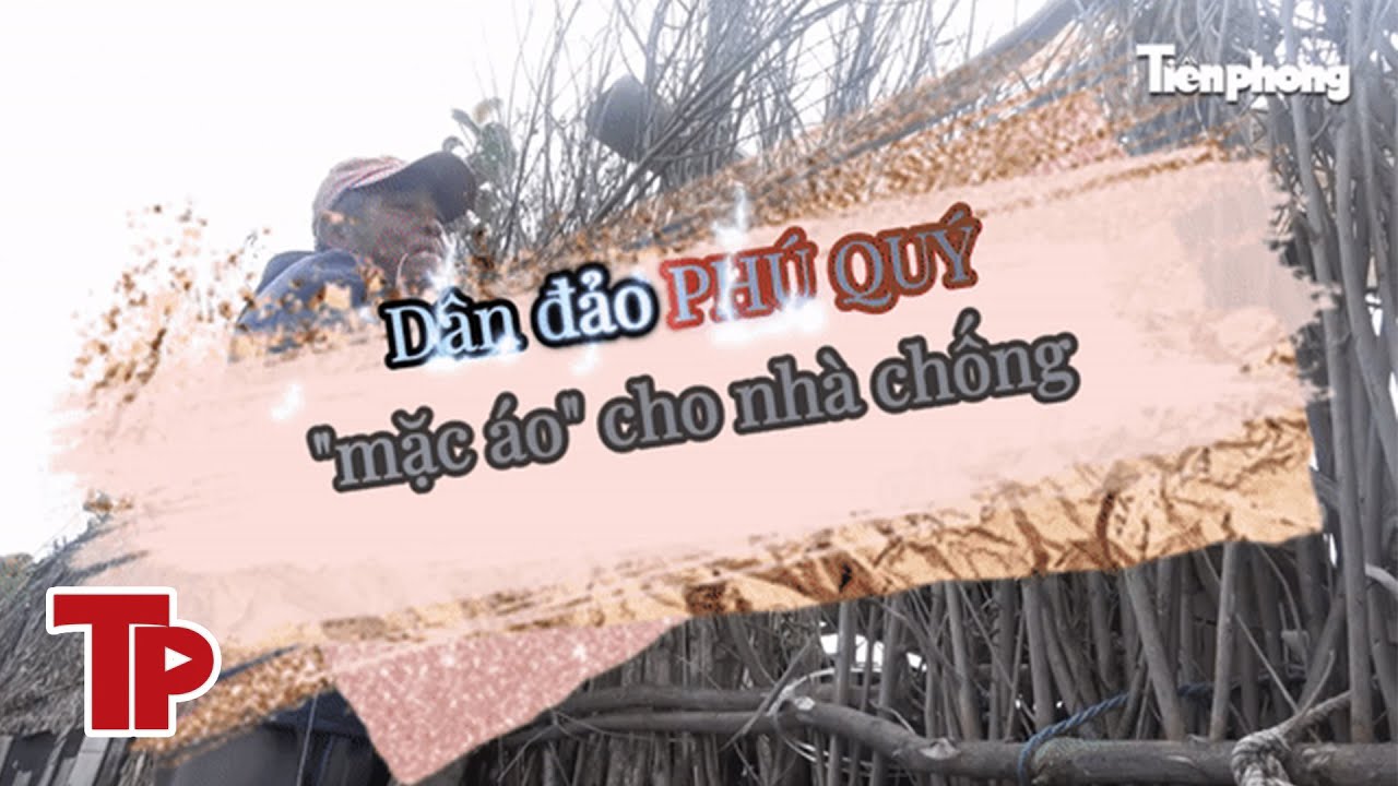 Xem người dân ở đảo Phú Quý 'mặc áo' cho nhà chống gió bấc | Tiền Phong TV