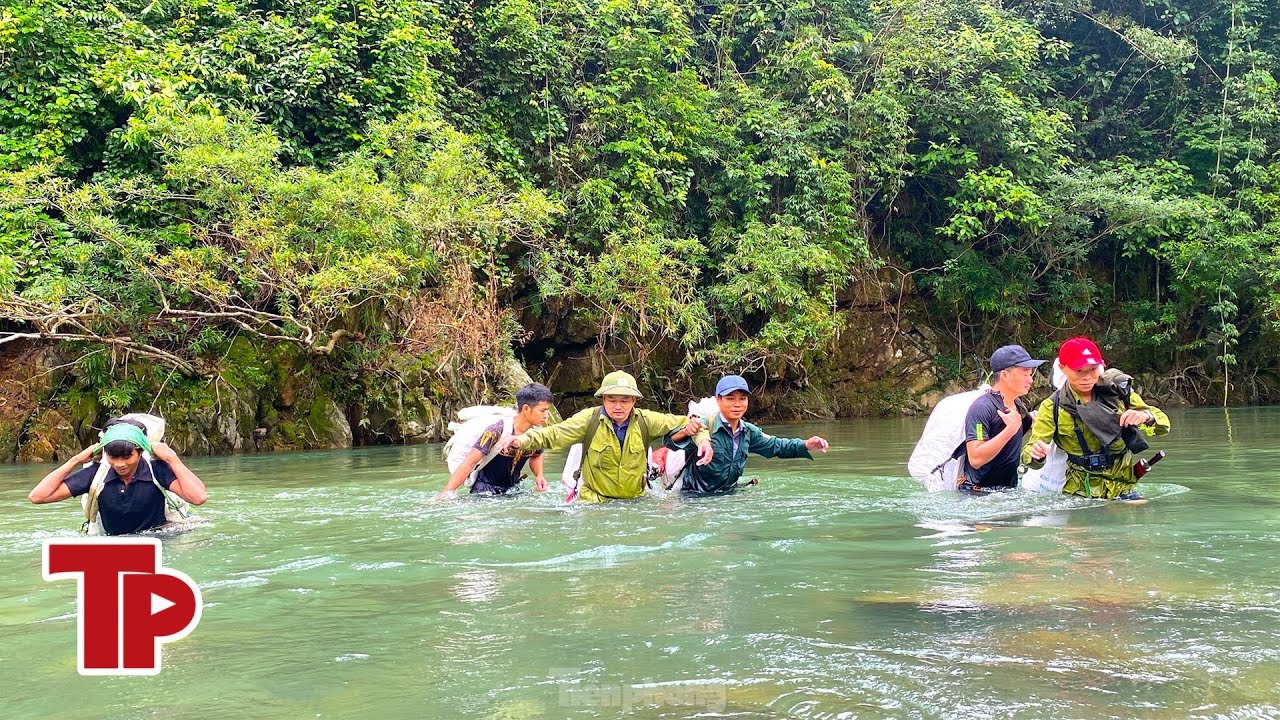 Theo chân 'đội đặc nhiệm' len lỏi vào vườn quốc gia tuần tra bảo vệ rừng, ngăn săn bắt thú | TP