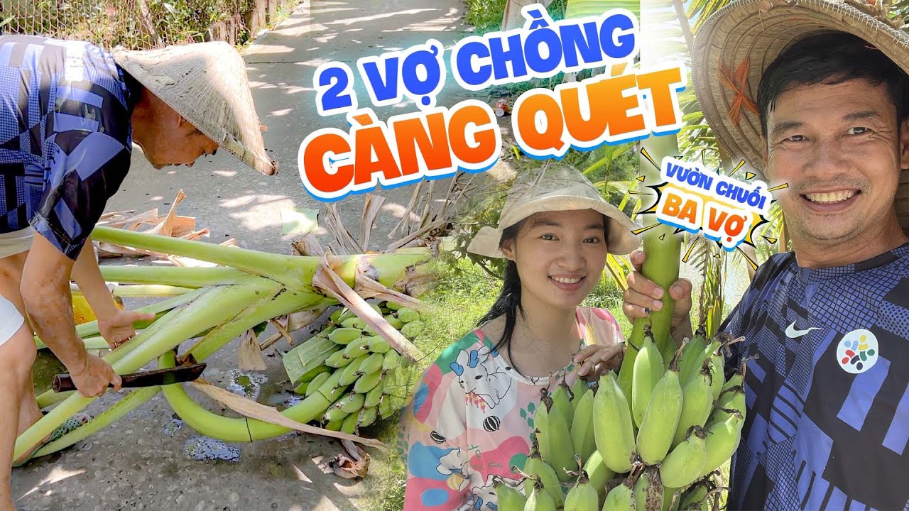 Ngọc Thưởng hướng dẫn Tiết Cương thu hoạch chuối trong vườn nhà