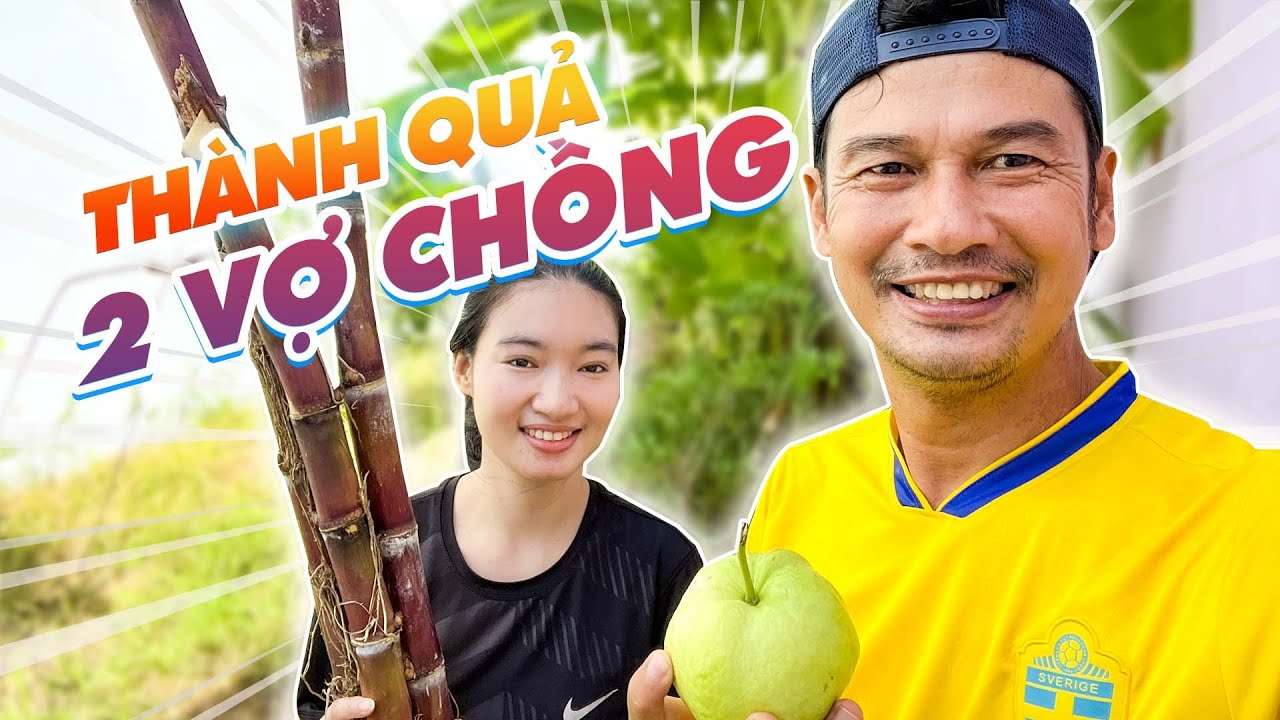 Tiết Cương và Ngọc Thưởng thu hoạch ổi và mía vườn chính tay mình trồng