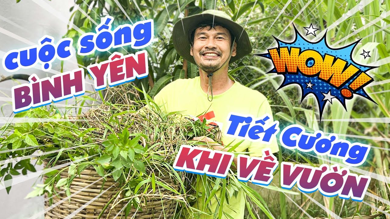 Tiết Cương chảy m.á.u tay khi dọn sạch cỏ vườn nhà hết 9 cần xé cỏ dại