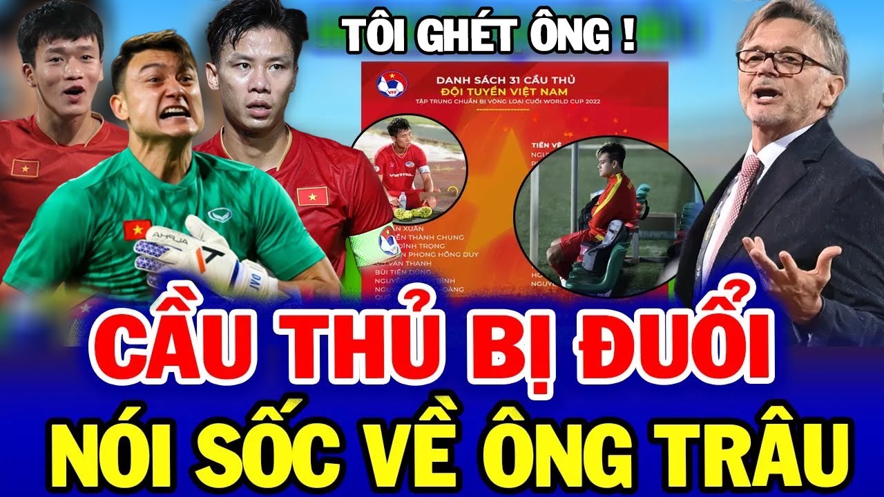 Vừa Về Nước,  Bốn Cầu Thủ Bị Loại  Mới Dám Nói Sự Thật Về Hlv Troussier , Nhm Ngán Ngẩm