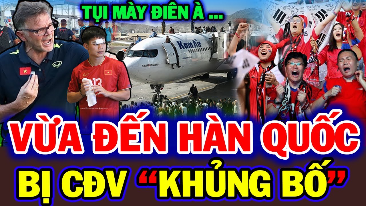 Vừa Đến Hàn Quốc, Tuyển VN Bị CĐV Hàn Tấn Công Chế Giễu, HLV Troussier Sợ Hãi Bỏ Trốn, VFF Cảnh Báo