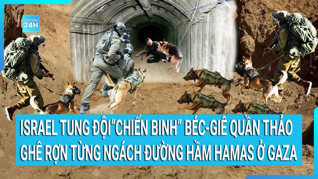 Toàn cảnh thế giới 24/12: Israel tung đội “chiến binh” béc-giê quần thảo địa đạo của Hamas ở Gaza