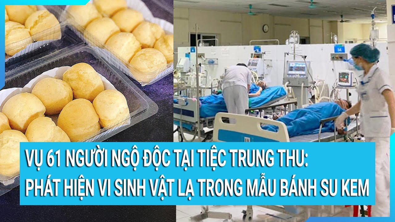 Vụ 61 người ngộ độc tại tiệc mừng trung thu: Phát hiện một số vi sinh vật lạ trong mẫu bánh su kem