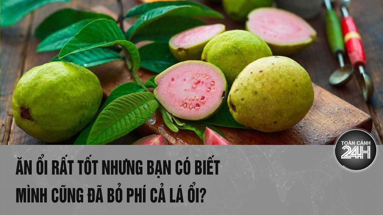 Quả ổi rất tốt nhưng đừng bỏ phí lá ổi - một "thần dược" chữa bênh vô cùng hiệu quả? | Toàn cảnh 24h