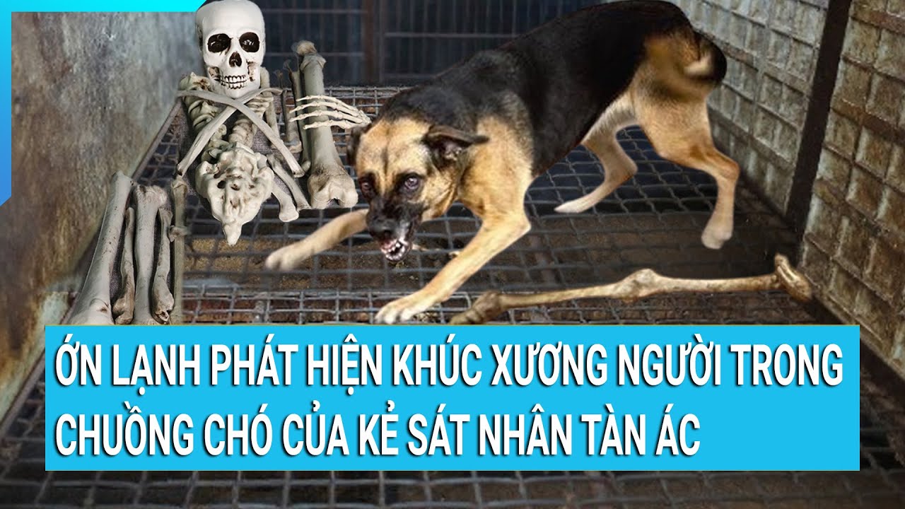 Ớn lạnh phát hiện khúc xương người trong chuồng chó của kẻ sát nhân tàn ác