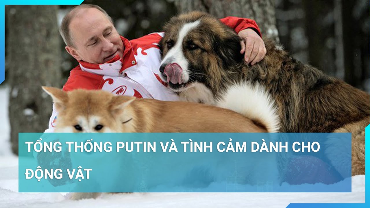 Tổng thống Putin và tình cảm dành cho động vật | Cuộc sống 24h