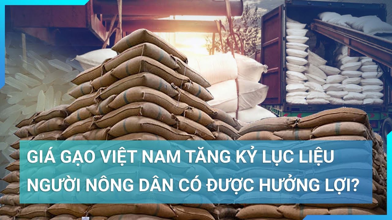 GS Võ Tòng Xuân: Giá gạo Việt Nam cao kỷ lục nhưng người dân có được hưởng lợi? | Cuộc sống 24h