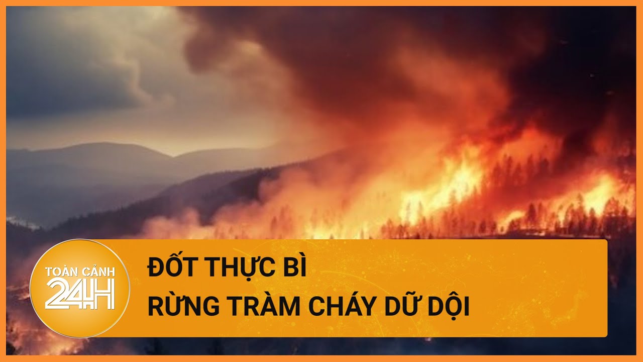 Thừa Thiên - Huế: Nỗ lực chữa cháy rừng trong đêm tại Lăng Cô | Toàn cảnh 24h