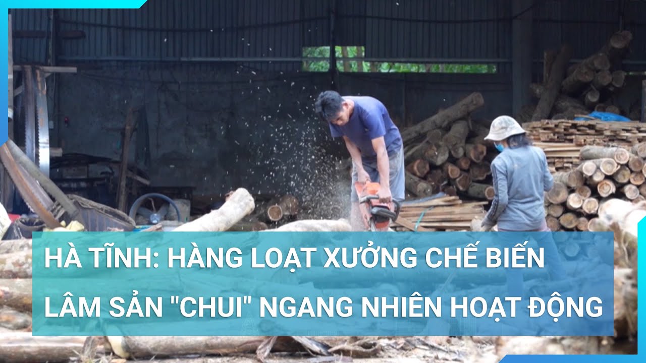 "Ô dù" nào bao che cho hàng loạt xưởng chế biến lâm sản "chui" ở Hà Tĩnh ngang nhiên hoạt động?