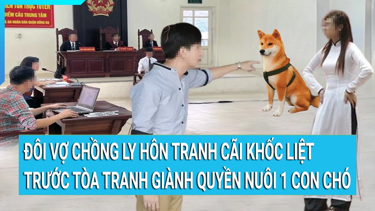 Đôi vợ chồng ly hôn tranh cãi khốc liệt trước tòa tranh giành quyền nuôi 1 con chó