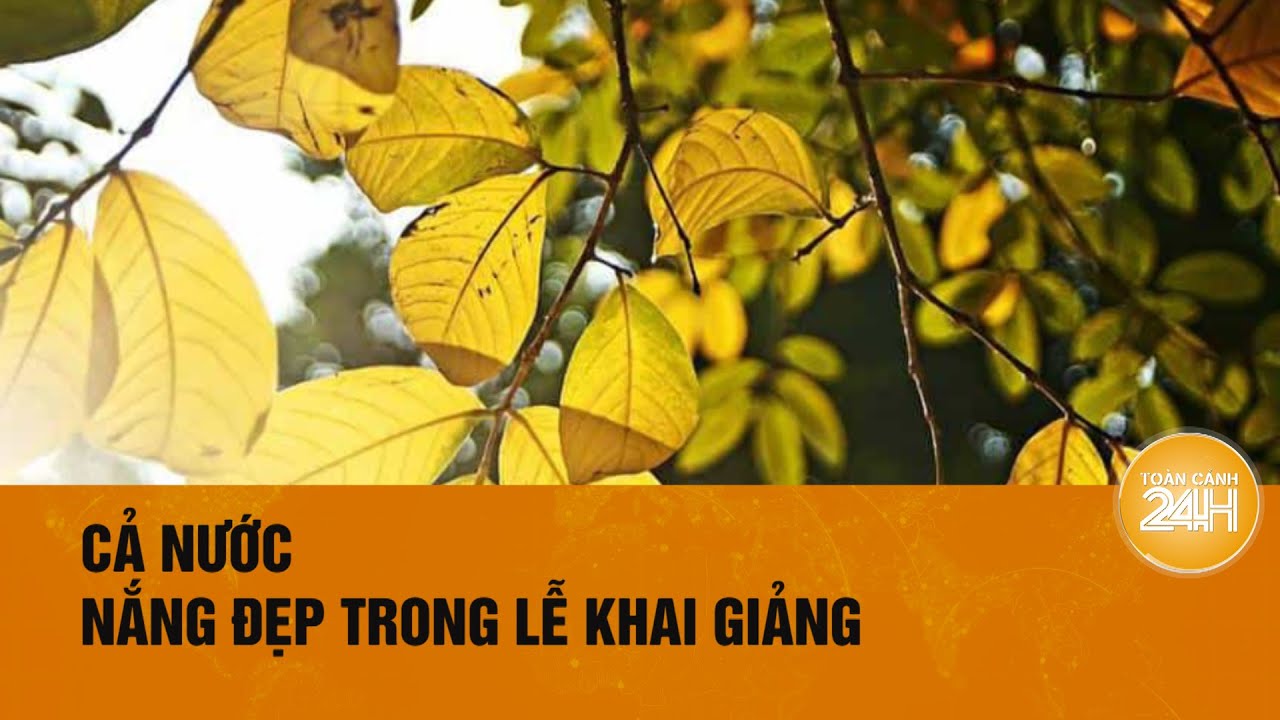 Thời tiết hôm nay 05/09: Sáng nay thời tiết thuận lợi cho lễ khai giảng năm học mới| Toàn cảnh 24h