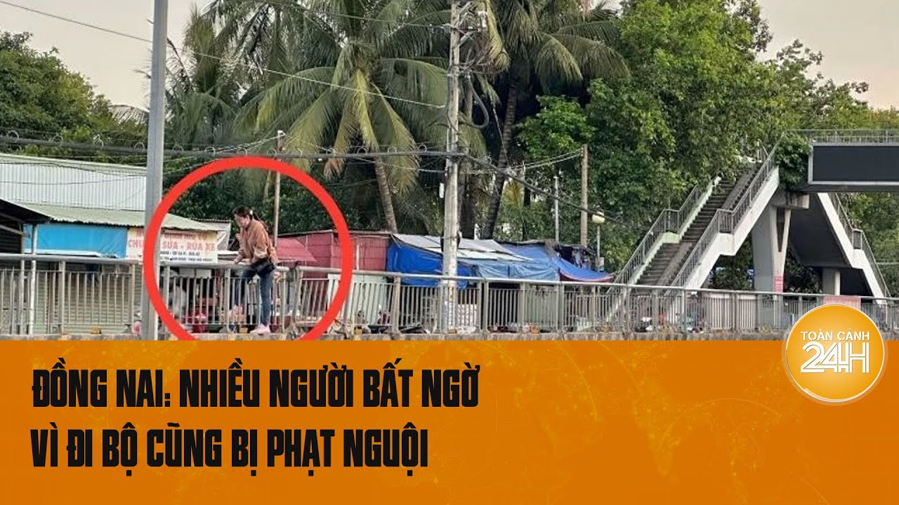 Vượt dải phân cách liên tục, nhiều người đi bộ ngỡ ngàng khi bị phạt nguội | Toàn cảnh 24h