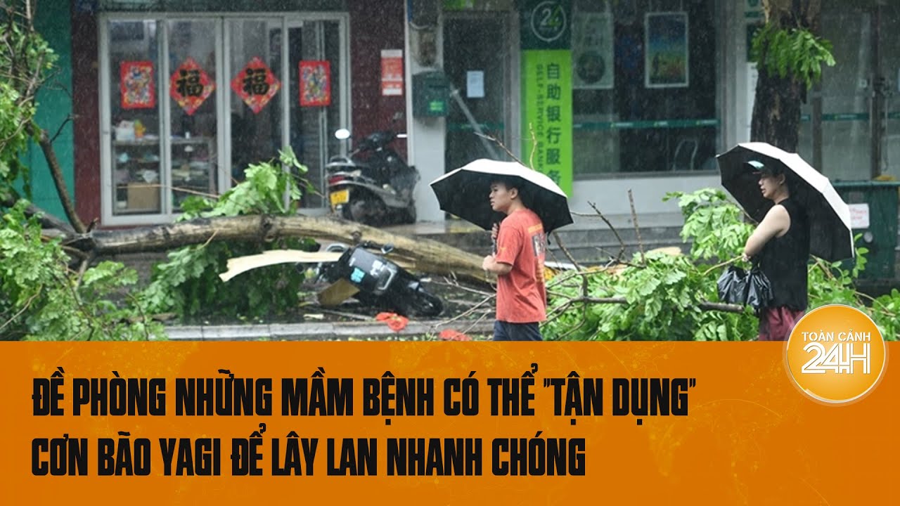 Những mầm bệnh có thể "bùng phát” nhanh chóng sau cơn bão Yagi | Toàn cảnh 24h