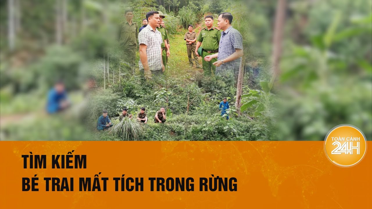 Hơn 150 người tìm kiếm bé trai mất tích nhiều ngày trong rừng| Toàn cảnh 24h