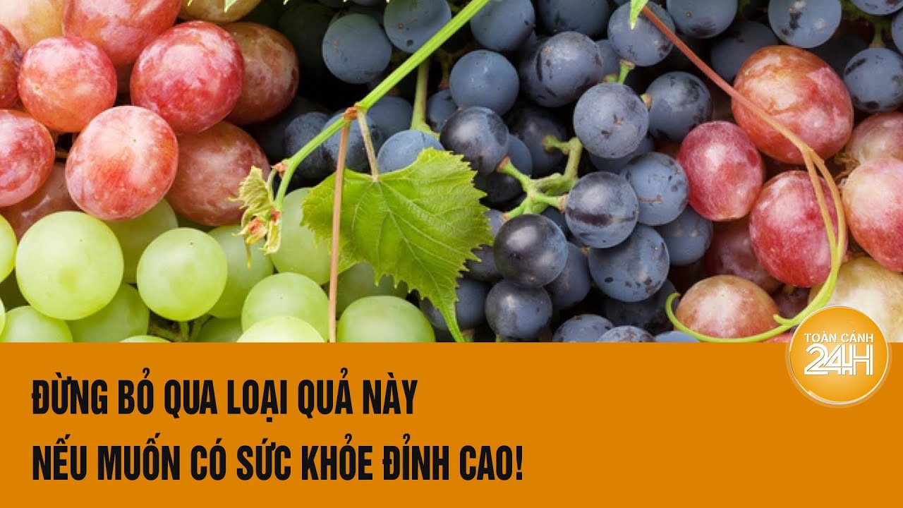 Đừng bỏ qua loại quả này nếu muốn ngừa ung thư, bảo vệ tim mạch,tăng cường sức khỏe | Toàn cảnh 24h