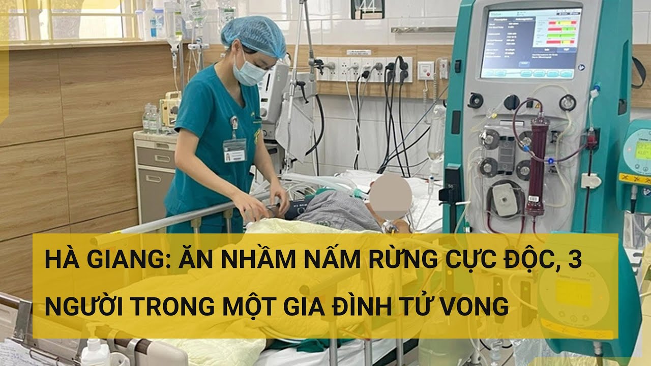 Hà Giang: Ăn nhầm nấm rừng cực độc, 3 người trong một gia đình tử vong | Tin mới