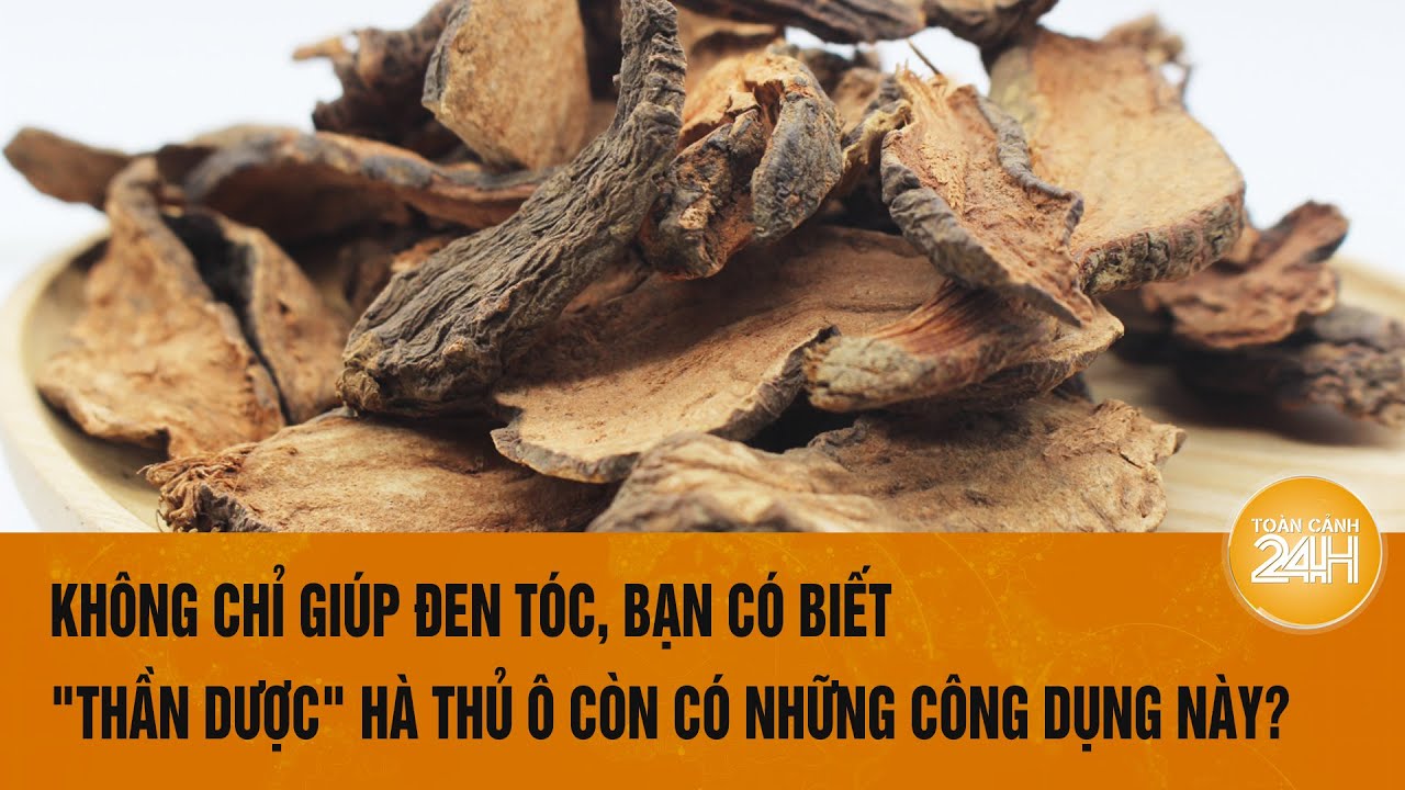 Không chỉ giúp đen tóc, hà thủ ô còn là dược liệu quý với những công dụng này | Toàn cảnh 24h