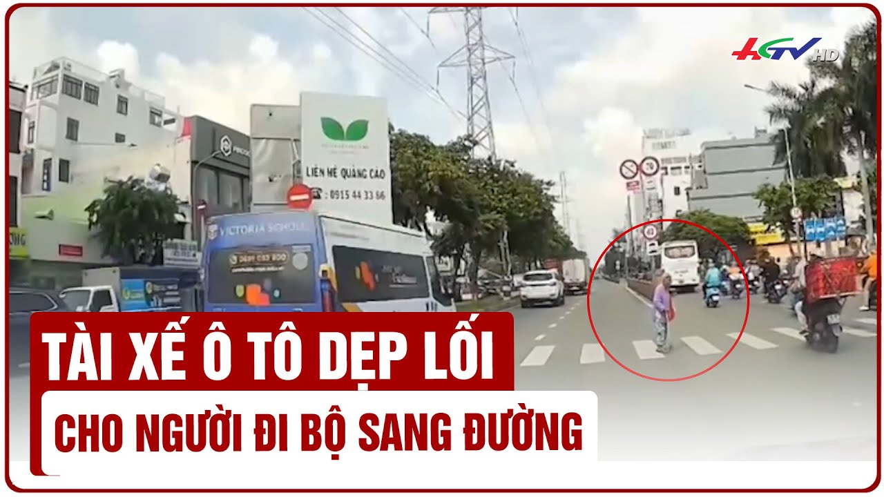 Tài xế ô tô dẹp lối cho người đi bộ sang đường | Tin nóng Mekong