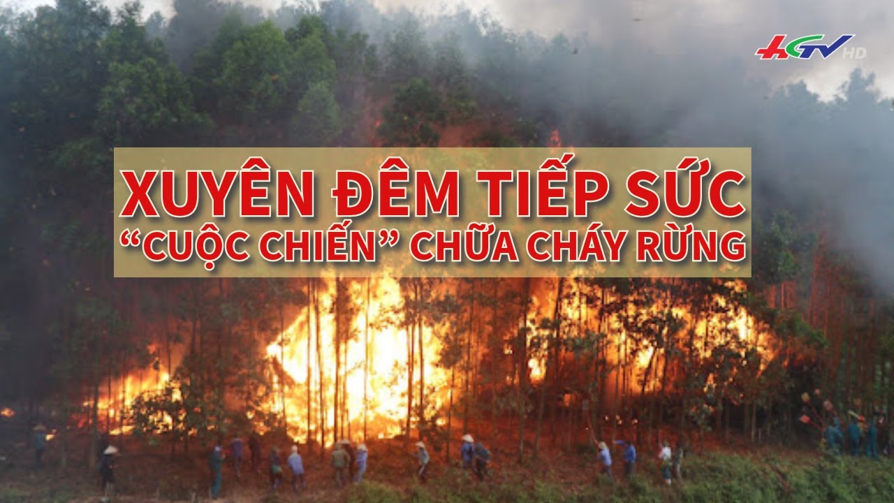 Xuyên đêm tiếp sức “cuộc chiến” chữa cháy rừng | Tin nóng Mekong