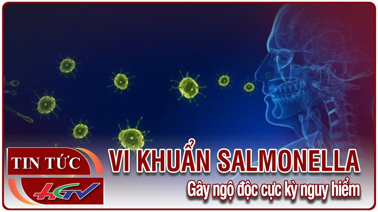 Vi khuẩn Salmonella gây ngộ độc cực kỳ nguy hiểm | Tin nóng Mekong