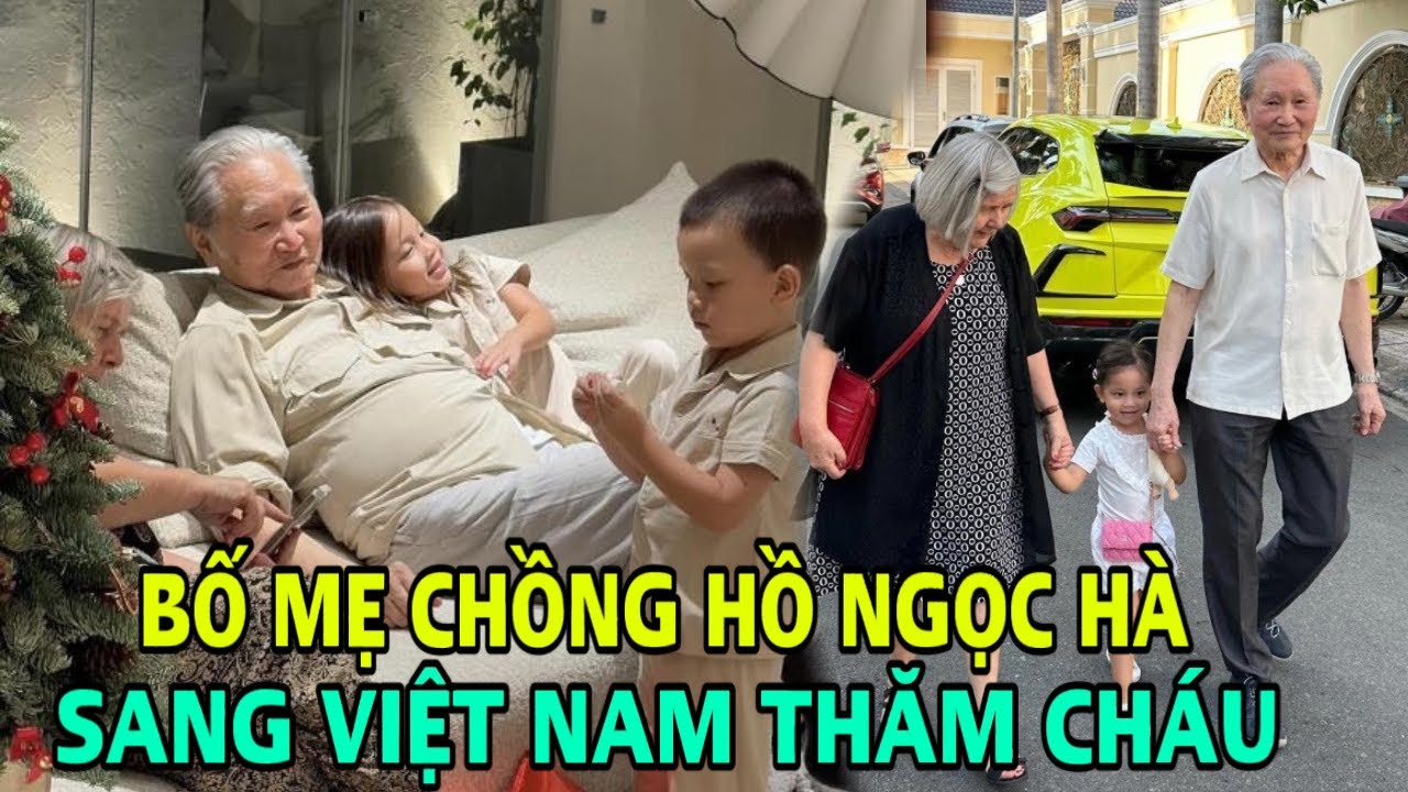 Bố mẹ chồng Hồ Ngọc Hà từ Thụy Điển sang Việt Nam thăm cháu, phản ứng của cặp sinh đôi gây sốt