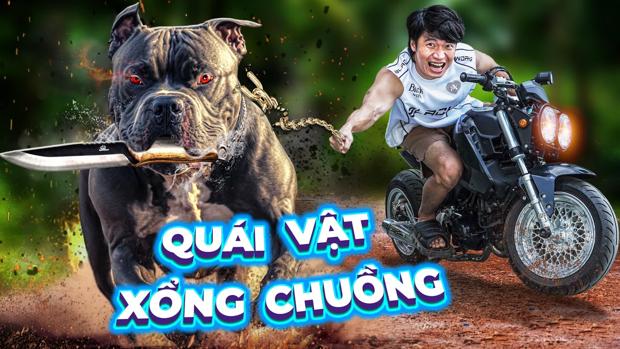 𝐓𝐨𝐧𝐲 | Sinh Nhật Tuổi 36 Của Bull Đệ 🎁 Món Quà Đặc Biệt