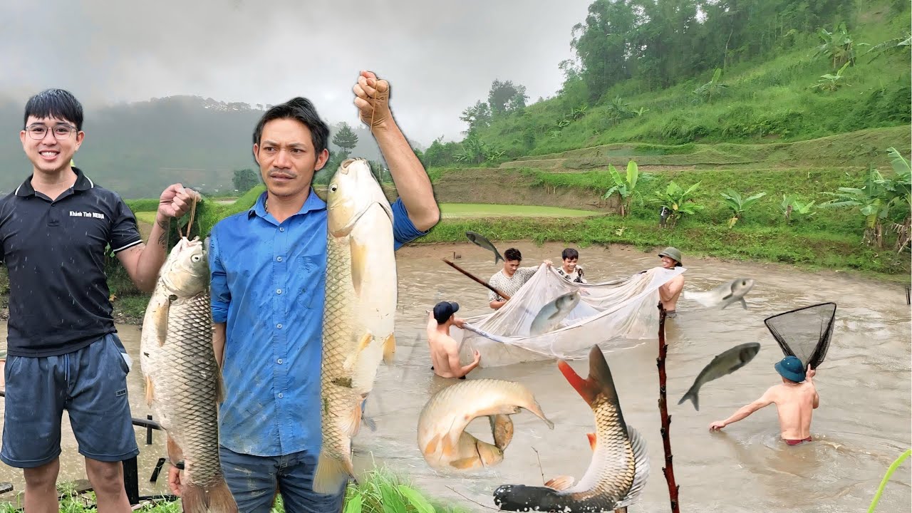 VUI NHƯ TẾT VÀO BẢN NGƯỜI THÁI KÉO LƯỚI BẮT CÁ MÙA MƯA TOÀN CÁ KHỦNG