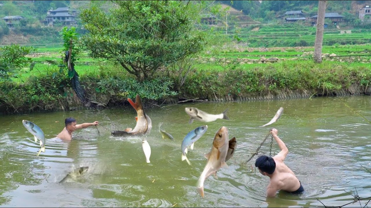 VÀO BẢN NGƯỜI THÁI BẮT CÁ ĐƯỢC CHIÊU ĐÃI MÓN CÁ TRẮM NHÚNG MẺ CỰC NGON SAY QUÊN LỐI VỀ