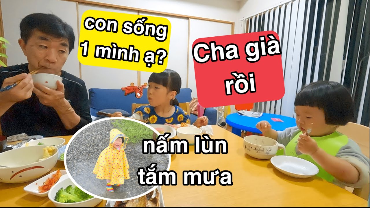 Xúc Động Vì Câu Hỏi Vô Tư Của An Và Câu Trả Lời Của Chồng Nhật