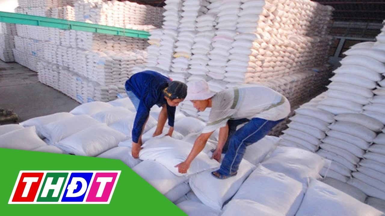 2 tháng đầu năm, xuất khẩu gạo tăng gần 50% | THDT