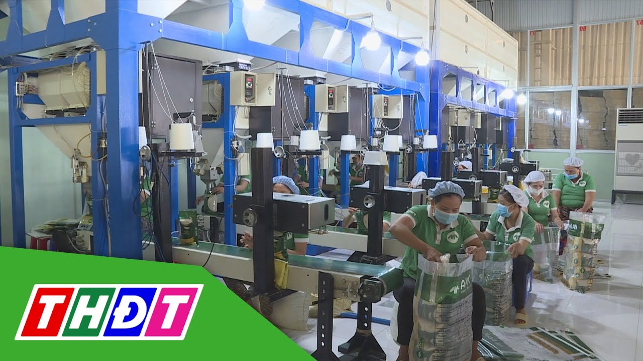 Đầu năm, xuất khẩu gạo thu gần nửa tỷ USD | THDT