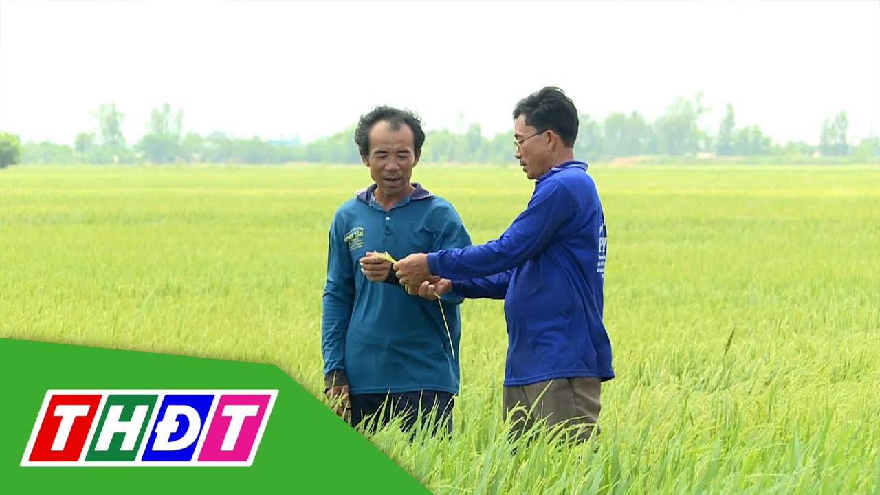 Tử tế để liên kết bền vững | Kinh tế tập thể - 5/6/2023 | THDT