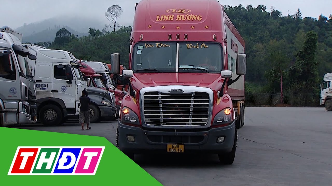 Trung Quốc tăng mạnh nhập khẩu hàng Việt Nam | THDT