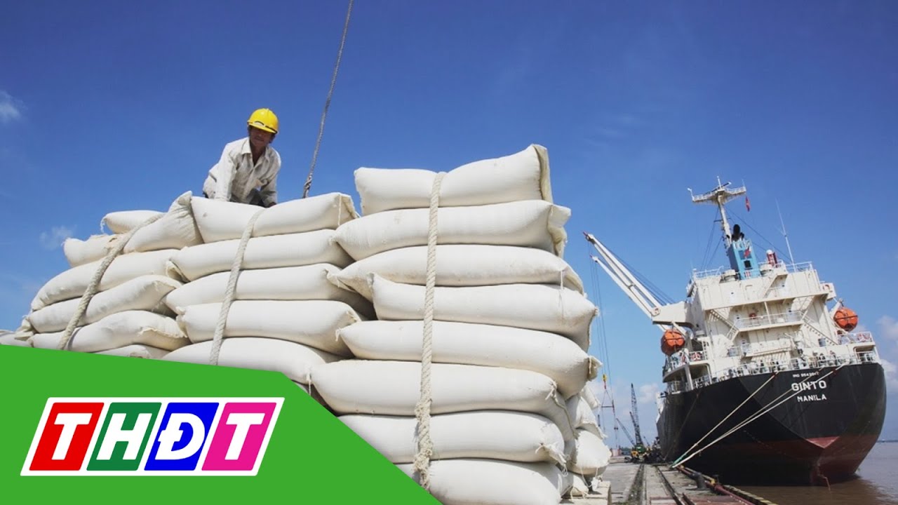 Đến giữa tháng 2, xuất khẩu gạo đã thu về gần nửa tỷ USD | THDT