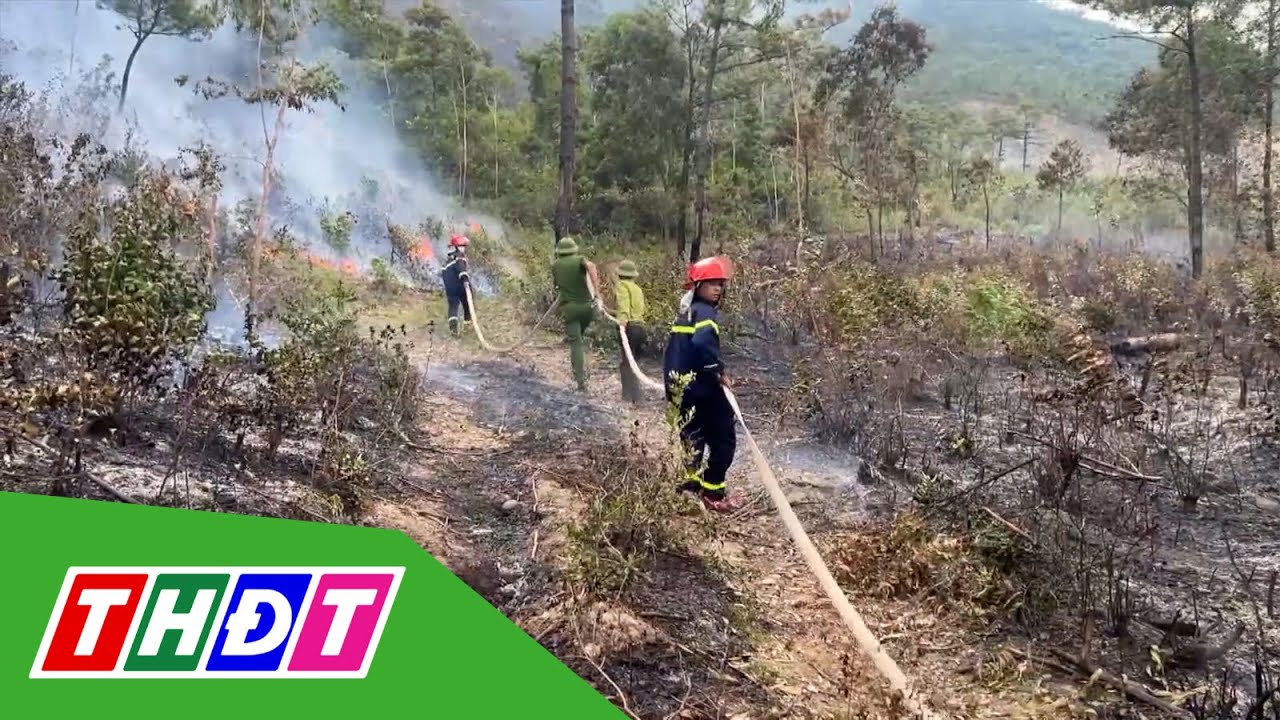 Cơ bản dập tắt vụ cháy rừng tại Đèo Ngang, Quảng Bình | THDT