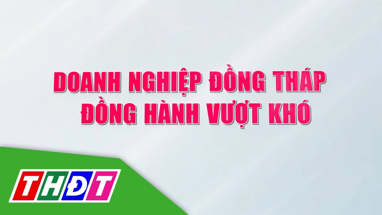 Doanh nghiệp Đồng Tháp đồng hành vượt khó | THDT