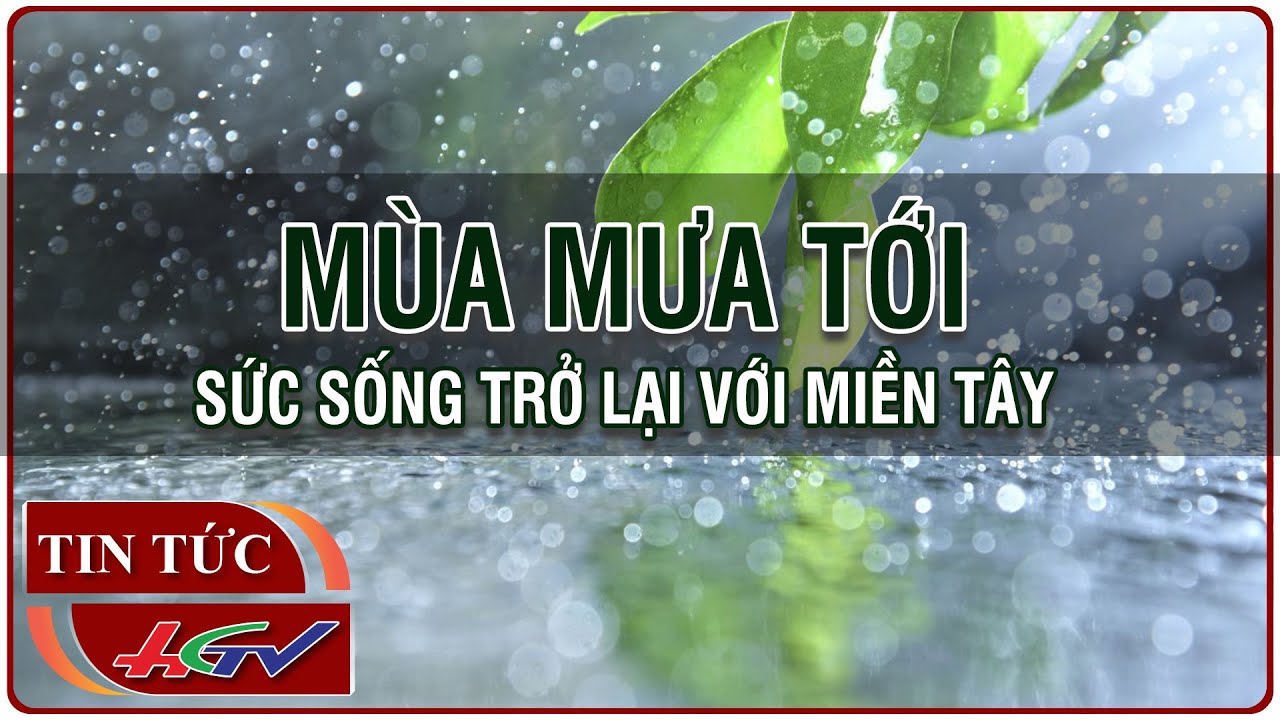 Mùa mưa tới, sức sống trở lại với miền Tây | Truyền hình Hậu Giang