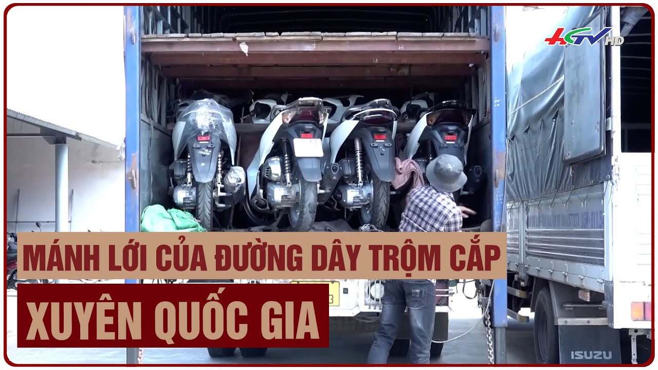 Mánh lới của đường dây trộm cắp, tiêu thụ xe mô tô trộm cắp xuyên quốc gia | Truyền hình Hậu Giang