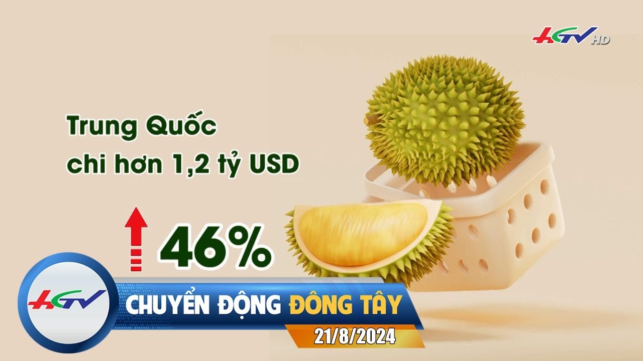 [🔴 Live] Chuyển động Đông Tây 21.8.2024 | Truyền Hình Hậu Giang