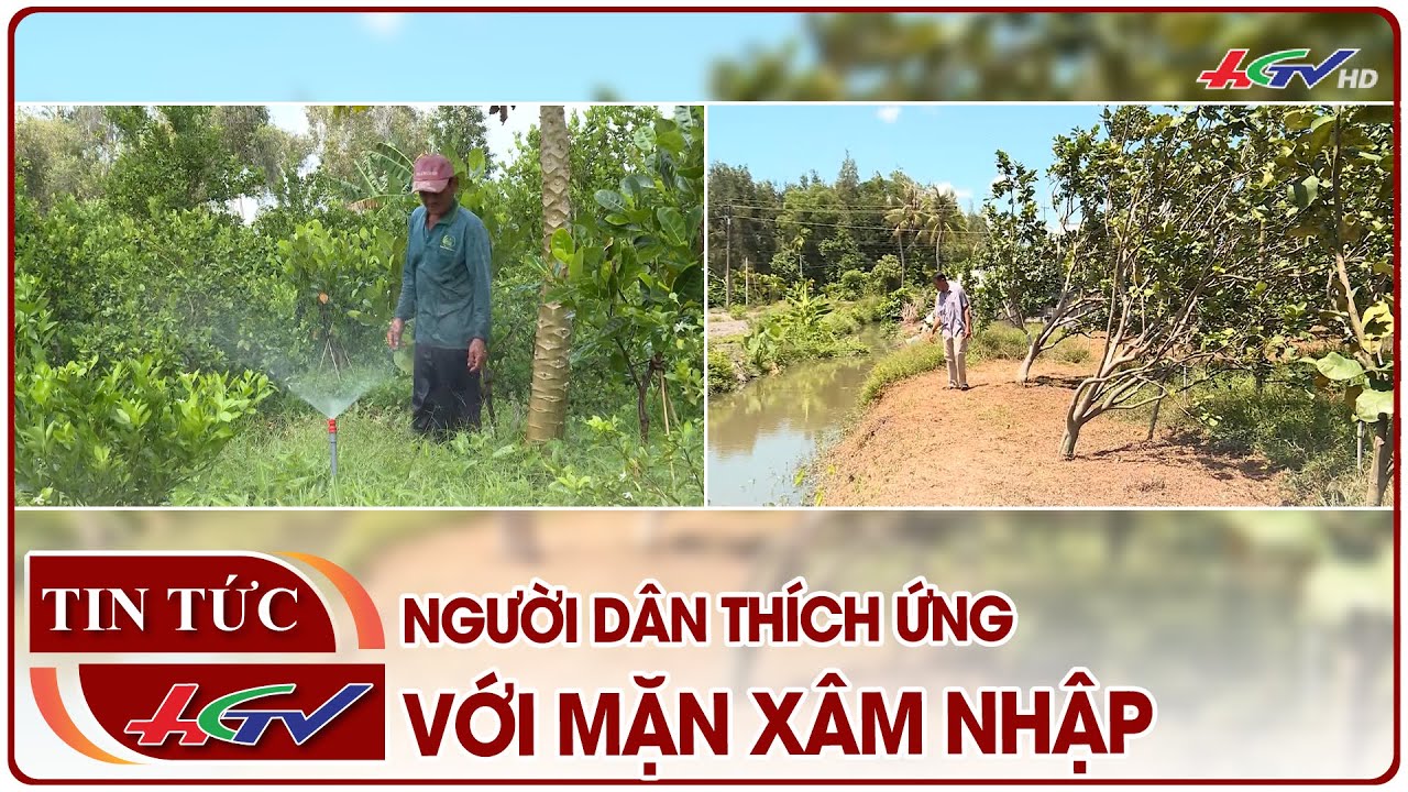 Người dân thích ứng với mặn xâm nhập | Truyền hình Hậu Giang