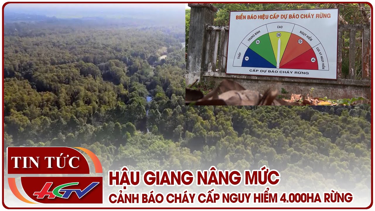 Hậu Giang nâng mức cảnh báo cháy cấp nguy hiểm 4.000ha rừng | Truyền hình Hậu Giang