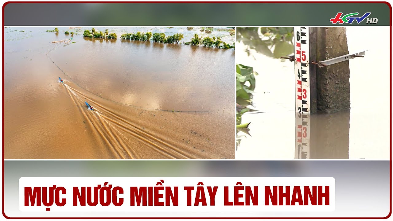 Mực nước miền Tây lên nhanh | Truyền hình Hậu Giang