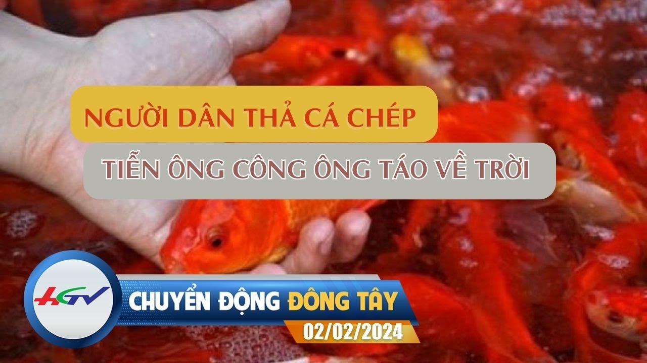 Chuyển động Đông Tây 02.02.2024 | Truyền Hình Hậu Giang