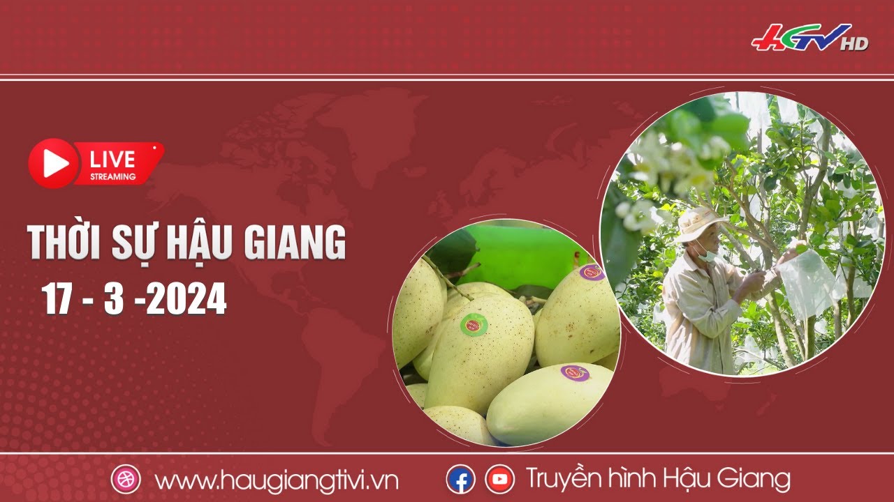 [🔴 Trực tiếp] Thời sự Hậu Giang 17.3.2024 | Truyền hình Hậu Giang